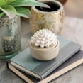 thumbnail image 3 of PORCELAIN AROMA DIFFUSER + 15 mL PEPPERMINT SUCCULENT, 3 of 3