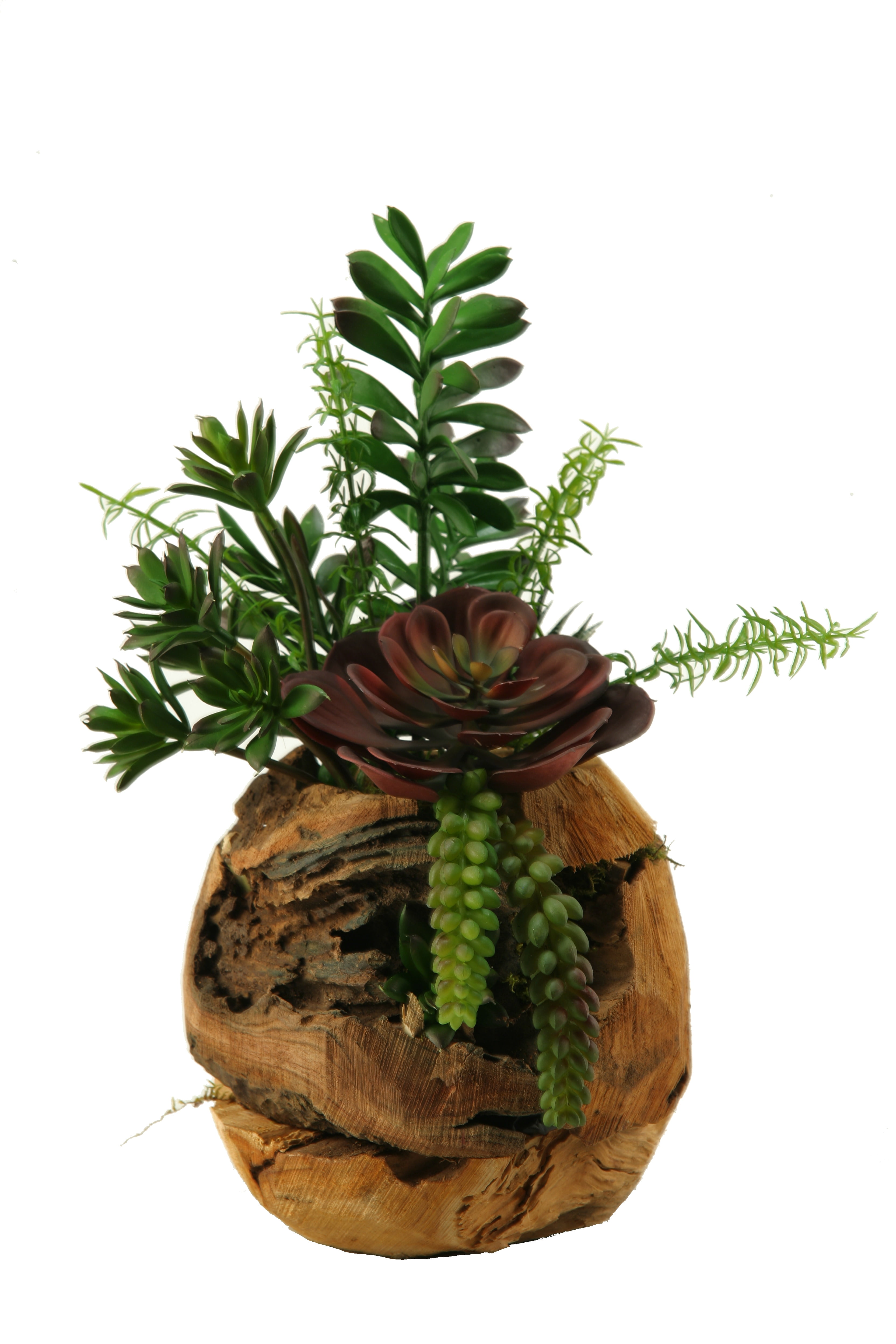 D W Silks Jade Plant Aloe Echeveria And Mini Dracaena In Wooden Root Ball Planter Walmart Com Walmart Com
