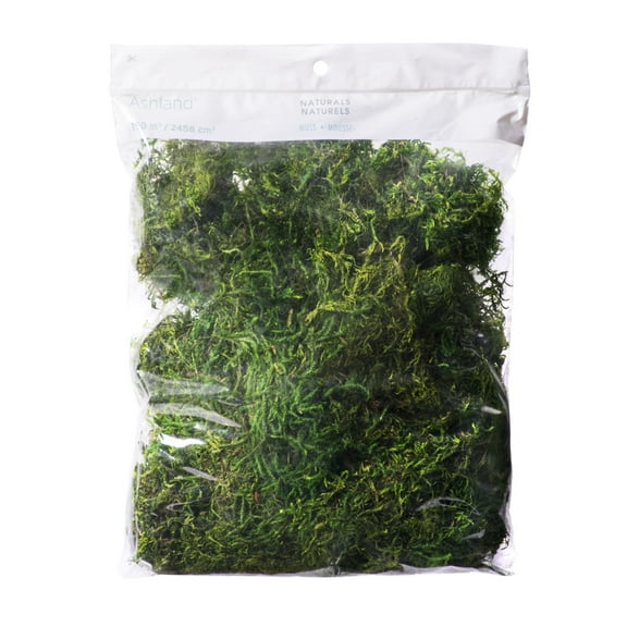 Ashland Preserved Forest Moss, 12 Pack