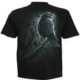 thumbnail image 2 of SHADOW RAVEN - T-Shirt Black, 2 of 3
