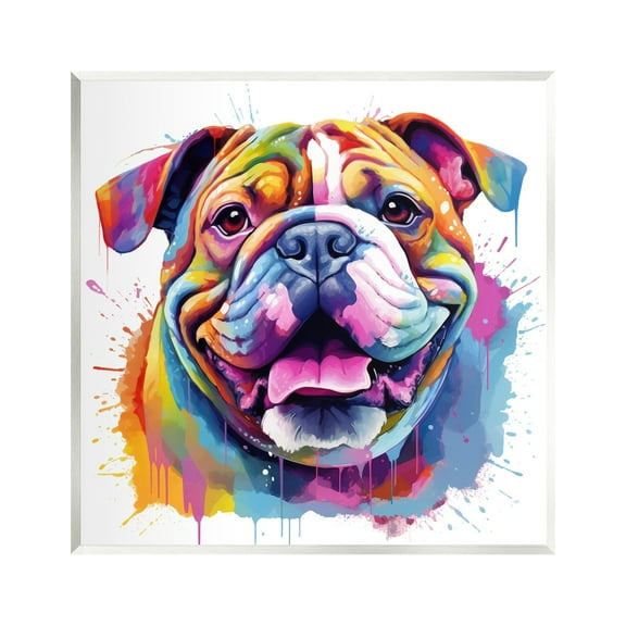 Stupell Industries Bulldog with Modern Splash Animals & Insects Painting Unframed Art Print Wall Art, 12 x 12