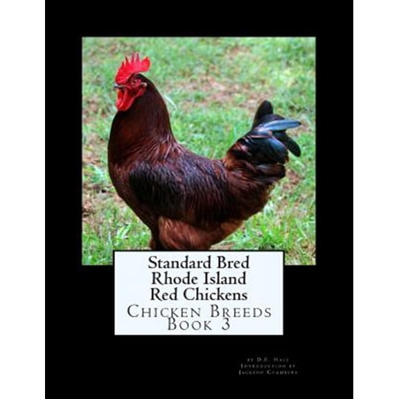 Standard Bred Rhode Island Red Chickens