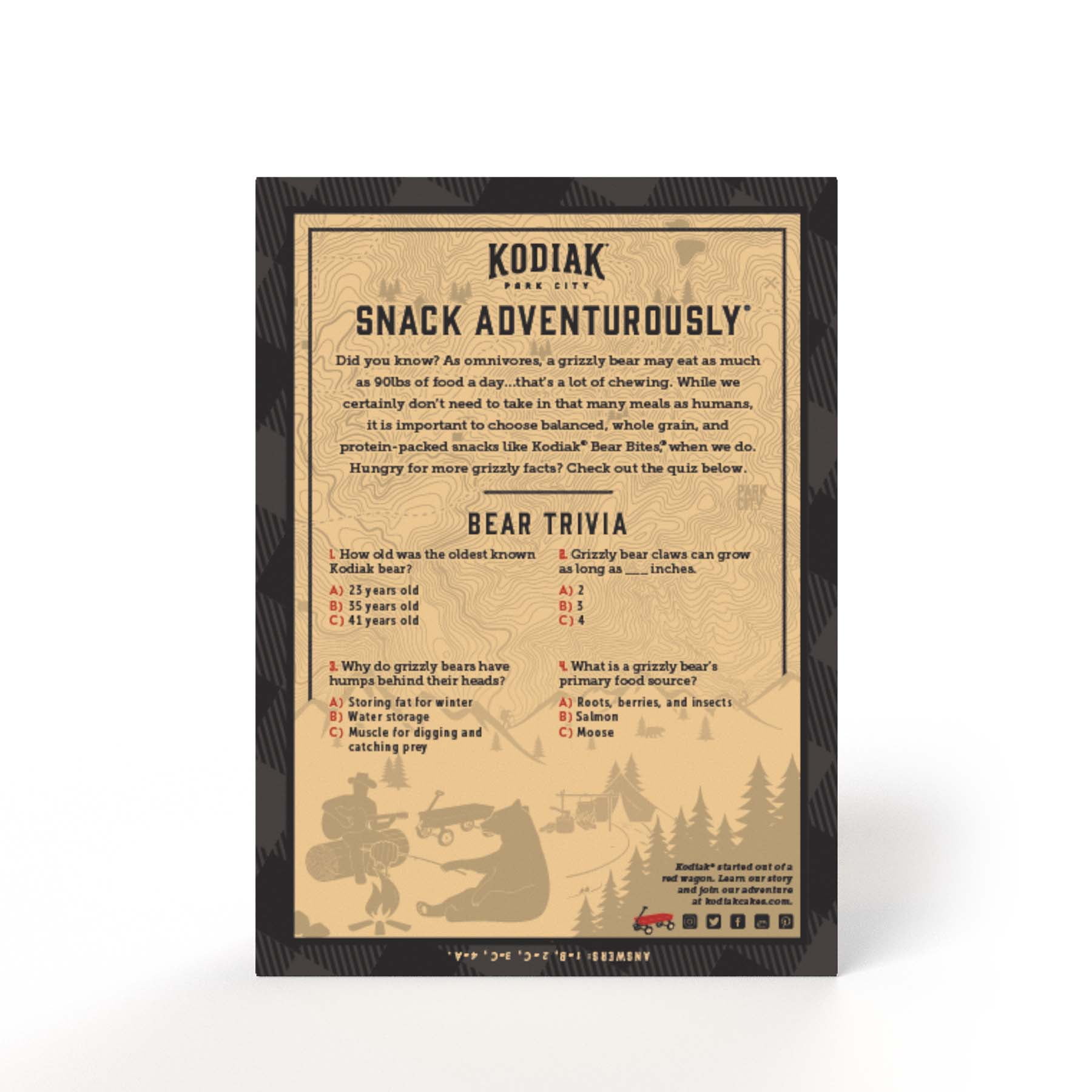 Kodiak Protein Honey Graham Cracker Bear Bites, 9 oz