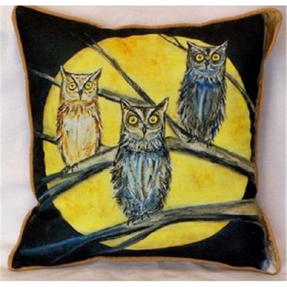 Betsy Drake ZP248 Night Owls Indoor & Outdoor Throw Pillow- 22 x 22 in.
