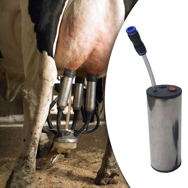 de ordeño de acero inoxidable, bomba de vacío de alta eficiencia, portátil, 12W, suministros para ganado, 12V para cabras, ovejas, caballos, Macarena Bomba aspiradora