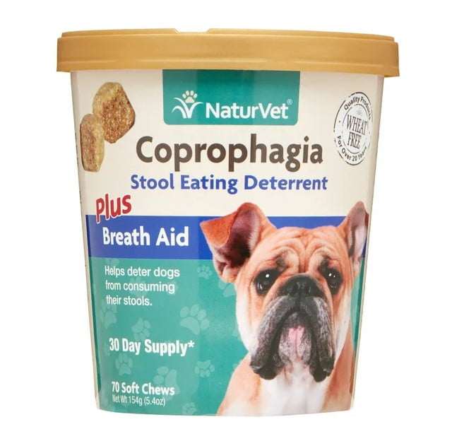 How Do You Get A Dog To Stop Eating Poop Home Remedies