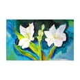 thumbnail image 1 of 30 x 50 in. White Lily Door Mat - Large, 1 of 1