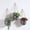 Gray, variant on Ceramic Wall Vases White Set Of 3 Indoor Plant Hanging Pocket Planters