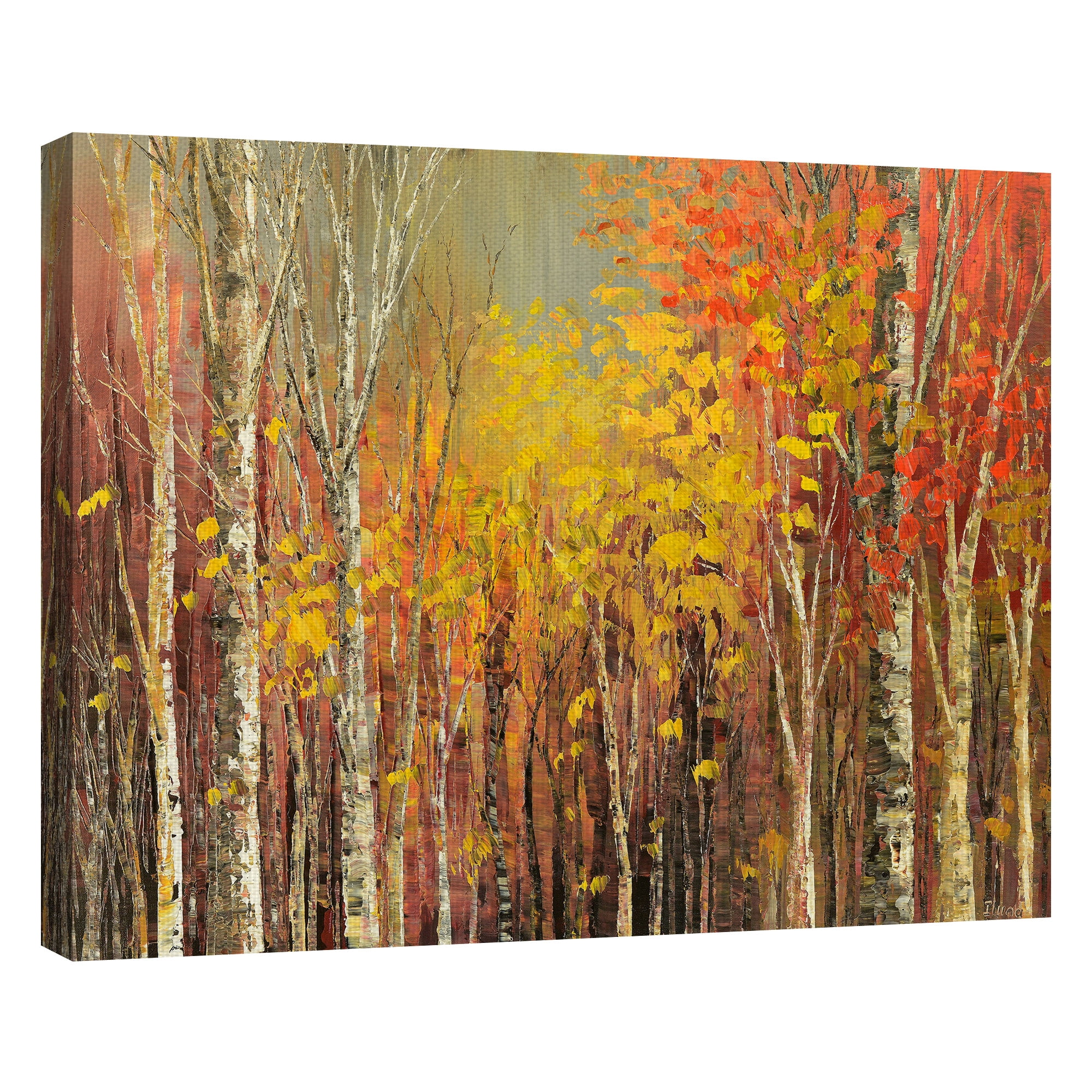 Masterpiece Art Gallery Tangled Colors Autumn Forest by Tatiana Illina Canvas Art Print 22" x 28"