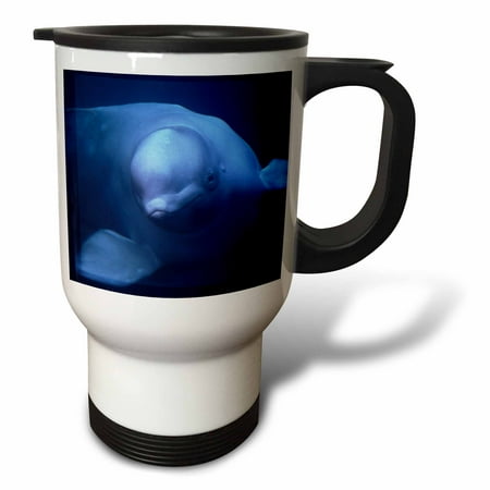 

3dRose Beluga or White Whale Delphinapterus leucas Arctic Travel Mug 14oz Stainless Steel