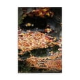 thumbnail image 2 of Gango Home Decor Fall Mandala I by Vitaly Geyman (Printed on Paper); One 24x36in Fine Art Paper Giclee Print, 2 of 4