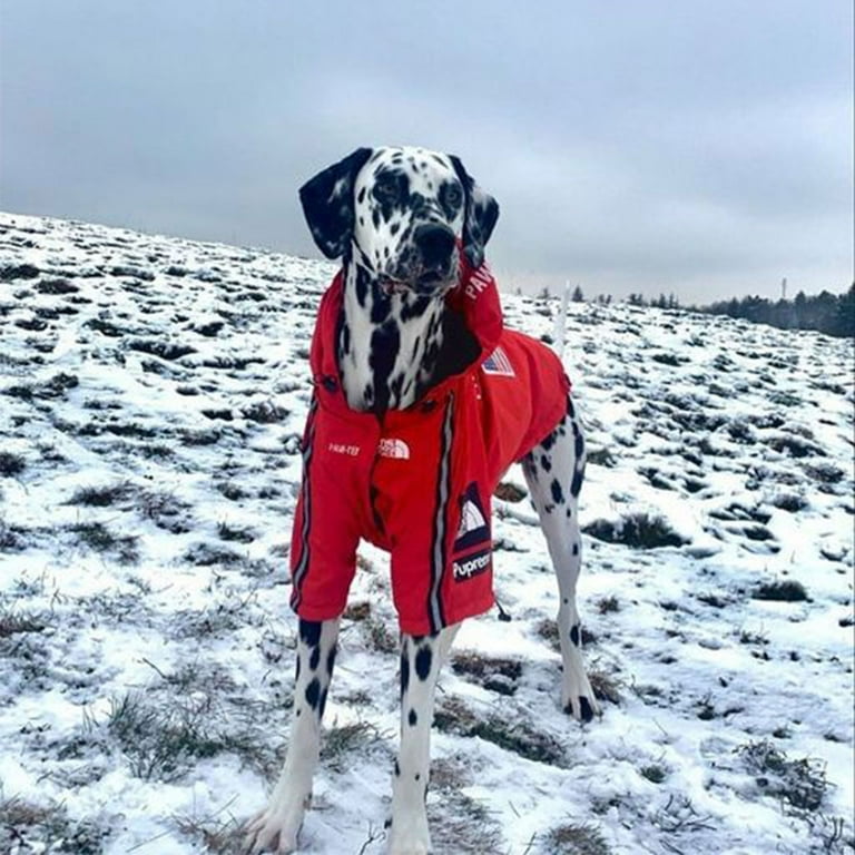 Jackets for dogs to keep cheap them warm