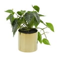 thumbnail image 6 of DecMode 12" Artificial Pothos Plant in Realistic Leaves and Gold Porcelain Pot, 6 of 7