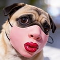 thumbnail image 5 of Scary Funny for Dogs, Head Realistic Masks, Latex Pet Face for Small & Medium Dogs, Hilarious Pet Muzzle Accessory, 5 of 7