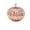 party lights, variant on Party Venue Pumpkin Lights, Western Festival Decorations, Luminous Electronic Small Pumpkin, Classic Pumpkin Shape With Realistic Carving Design, Western Festival Elements, Easily