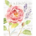 thumbnail image 3 of Nai, Danhui 15x18 Black Modern Framed Museum Art Print Titled - Maison Des Fleurs III, 3 of 5