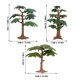 thumbnail image 2 of Árboles en miniatura para jardín de hadas Accesorios para casas de muñecas Adorno de jardinería Adorno para árbol pequeño Modelo, 2 of 4
