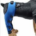 thumbnail image 3 of Primegos Dog Knee Brace for Torn ACL Hind Leg Adjustable Dual Back Leg Support for Luxating Patella Ligament Injuries Osteoarthritis, 3 of 8