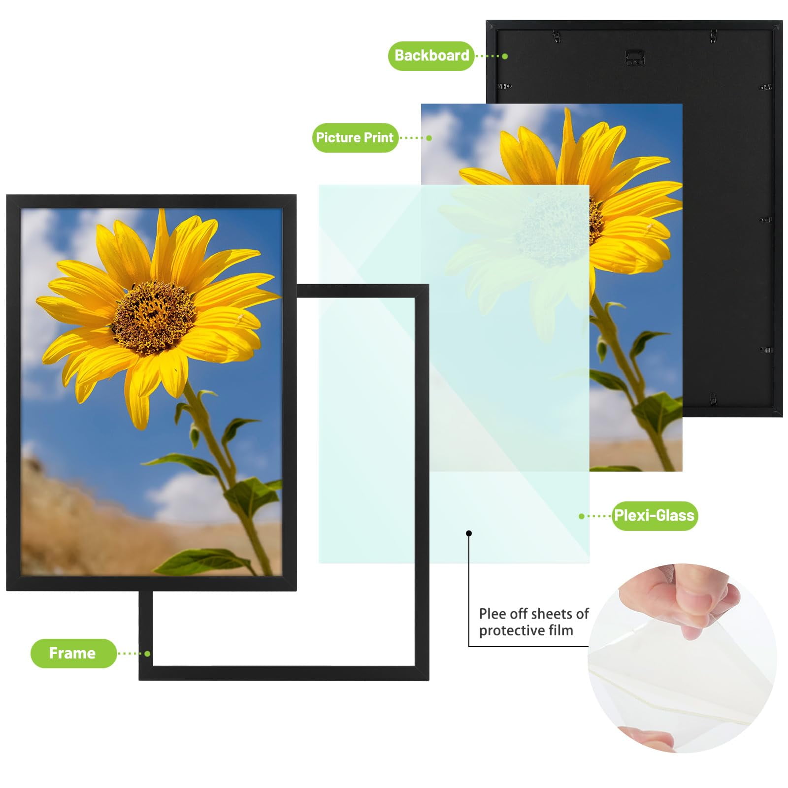 Golden State Art 16.5 in x 23.4 in Black Picture Frames 2 Set
