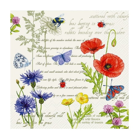 Set of 1 Cocktail Vintage Summer Napkins 20 Pack