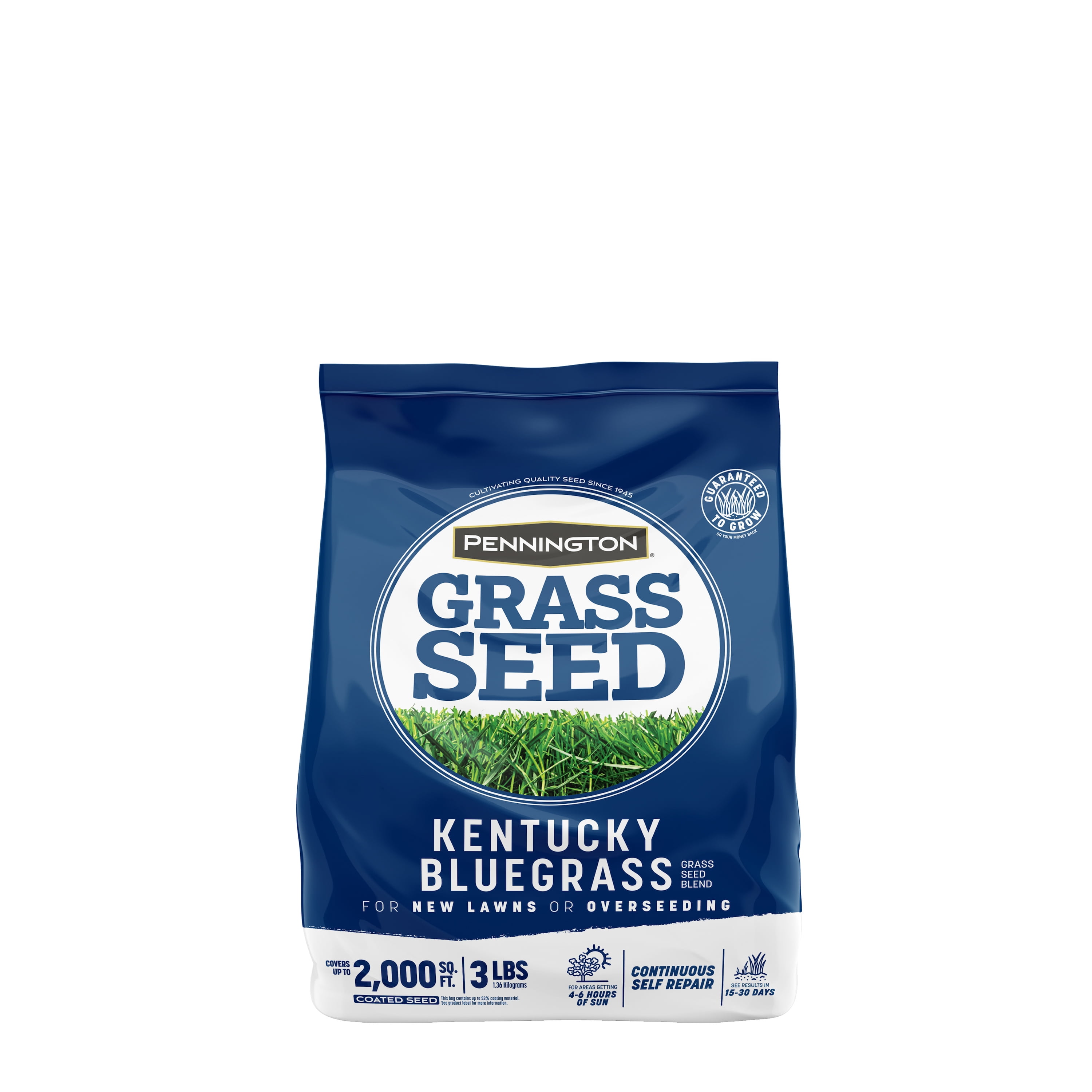 Pennington Kentucky Bluegrass Grass Seed Blend For Northern Lawns 3 Lb ...