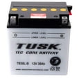 thumbnail image 2 of Tusk Tec-Core Battery with Acid TB30LB For POLARIS RANGER 700 XP 2008-2009, 2 of 3