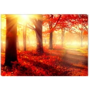 Startonight Canvas Wall Art Red Morning in the Forest USA Design for Home Decor, Illuminated Nature Painting Modern Canvas Artwork Framed Ready to Hang Medium 23.62 X 35.43 inch