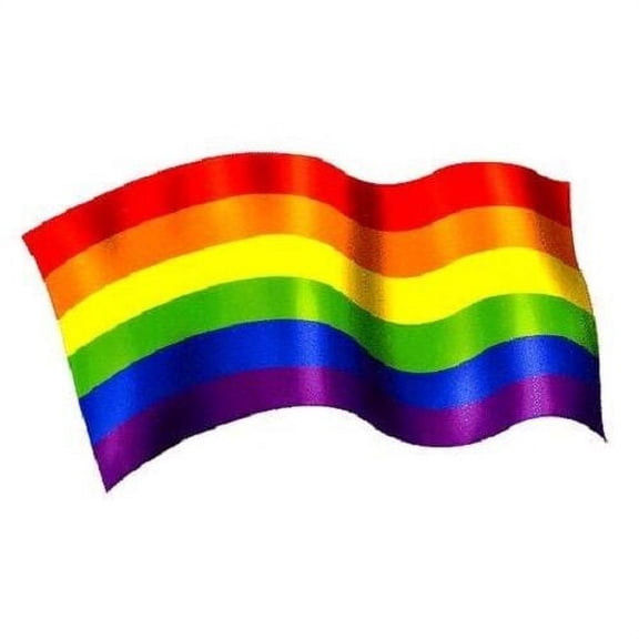 NSI - Rainbow Pride Flag - Sticker / Decal