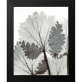 thumbnail image 2 of Koetsier, Albert 20x24 Black Modern Framed Museum Art Print Titled - Anise in BandW, 2 of 5