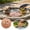B, variant on Patio & Garden Bird Bath Purification Disc Pure Copper Decorative Hummingbird Print Water Cleaner Cleaning Disk for Outdoor Birdbaths and Garden Decor