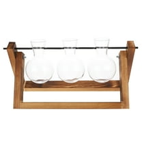 PTOOTP Water Plant Terrarium Propagation Station with Wooden Stand for Indoor Gardening and Plant Propagation