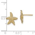 thumbnail image 3 of 14k Yellow Gold Textured Starfish Post Earrings, 3 of 7