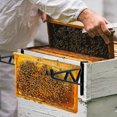 thumbnail image 3 of 10 Pcs Support de Cadre de Ruche, Support de Ruche d'Apiculture, Support de Cadre de Ruche Support de Support d'Inspection Fournitures d'Outils, 3 of 7
