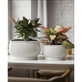 thumbnail image 2 of 30 x 23 x 16.1cm Square White Ceramic Flower Pot 2 Count, 2 of 6