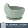 thumbnail image 2 of Dreambaby Silicone Suction Scooper Bowl - High Edge for Self Feeding - 100% Food Grade Silicone Bowl for Baby Led Weaning- Seafoam Green, 2 of 8