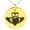 Gold, variant on Stainless Steel Celtic Claddagh Unity Engraved Small Medallion Circle Charm Pendant Necklace