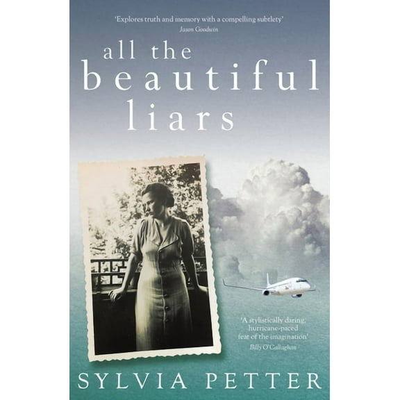All the Beautiful Liars (Paperback)