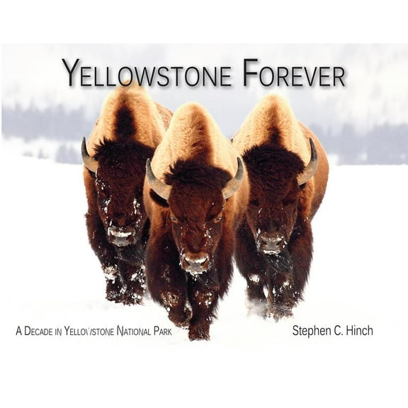 Yellowstone Forever: A Decade in Yellowstone National Park, (Paperback)