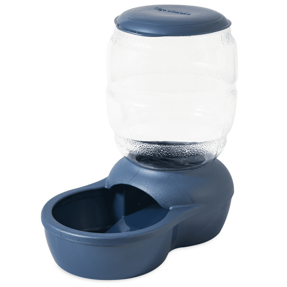 Petmate Replendish Dog and Cat Feeder With Microban, Pearl Peacock, 2