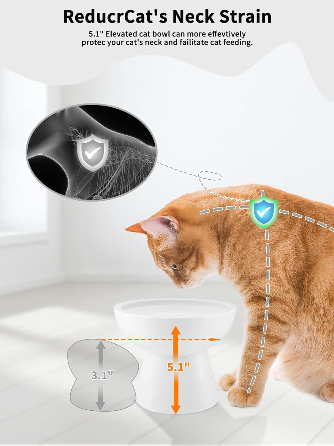 Elevated Cat Food and Water Bowls Set, Extra Wide and Raised Ceramic Bowls, Anti-Vomit Whisker-Free Pressure Cat Feeder for Kittens to Adult Cats and Small Dogs (White, Water Bowl)