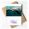 thumbnail image 1 of Marine Organism Ocean Animal Photography Welcome Back Greeting Cards Envelopes Blank, 1 of 3