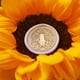thumbnail image 1 of Cuadros Decorativos Sello en forma de girasol Sello de cera DIY Manual embutido en tela, 1 of 1