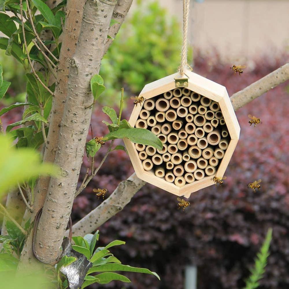 Fatto a mano naturale Bamboo Bee Hive Mason Bee House attira Pacifica Bee pollis 6I8 