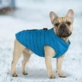 thumbnail image 2 of Didog Winter Small Dog Vest Warm Puppy Coat Jacket Zipper Clothes Apparel Clothing for Yorkie Chihuahua, 2 of 13