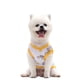 thumbnail image 1 of Chaleco De Verano Para Perros, Estampado De Animales De Dibujos Animados, Ropa Bonita Para Perros, Camiseta Para Mascotas Minnieouse PT002650-04, 1 of 6
