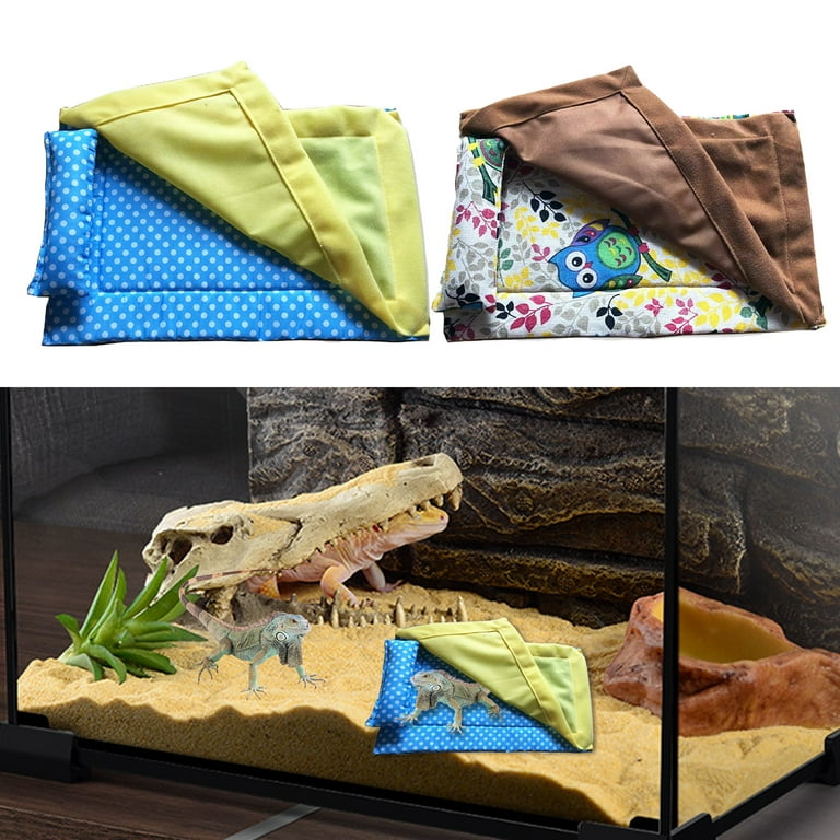 Bearded dragon sleeping on sale bag