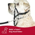 thumbnail image 2 of Coastal Pet Walk 'n Train Dog Head Halter Black, MD, 2 of 7