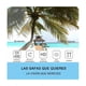 thumbnail image 4 of 3 Piezas Gafas De Sol Rectangulares Estilo Vintage Casual, 4 of 5