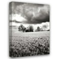 thumbnail image 1 of Alan Hausenflock 23x32 Gallery Wrapped Canvas Wall Art Titled - Stormy Skies I, 1 of 4