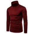 thumbnail image 2 of Douhoow Men Winter Warm Turtleneck Pullover Long Sleeve Slim Fit Jumper Tops, 2 of 8